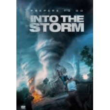 INTO THE STORM INTO THE STORM