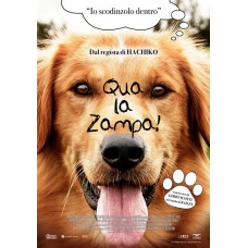 QUA LA ZAMPA!