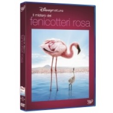IL MISTERO DEI FENICOTTERI ROSA